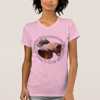 Camiseta Pantanal de Shetland