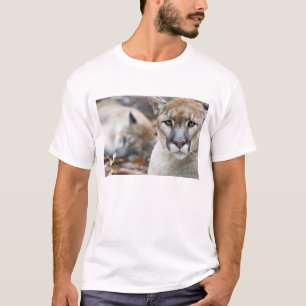 Camiseta Pantera da Flórida