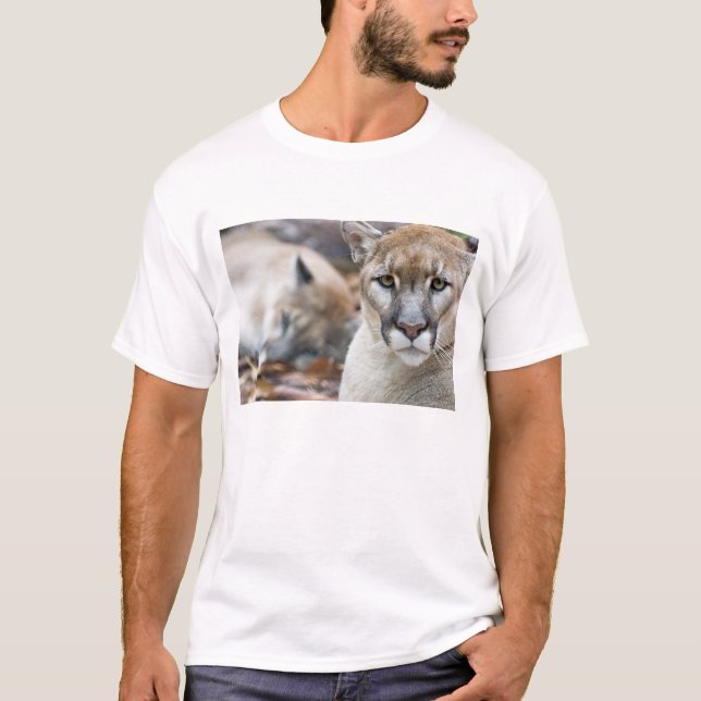 Camiseta Pantera da Flórida (Frente)
