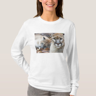 Camiseta Pantera da Flórida