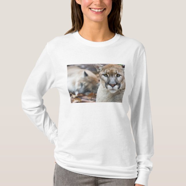Camiseta Pantera da Flórida (Frente)