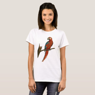 Camiseta Papagaio