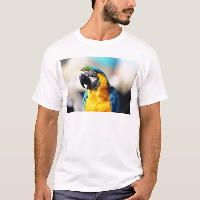 Camiseta papagaio (Frente)