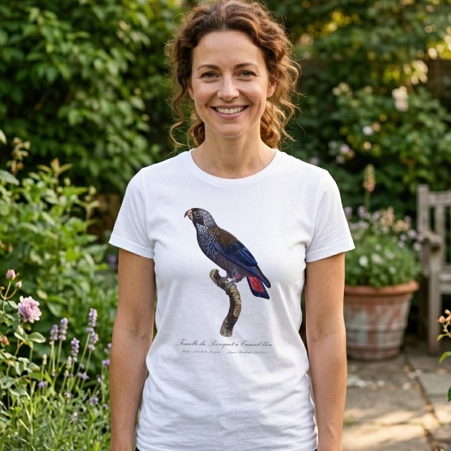 Camiseta Papagaio-cinza, Pionus fuscus (Dusky Parrot or Dusky Pionus, Pionus fuscus. Women Basic White T-Shirt)
