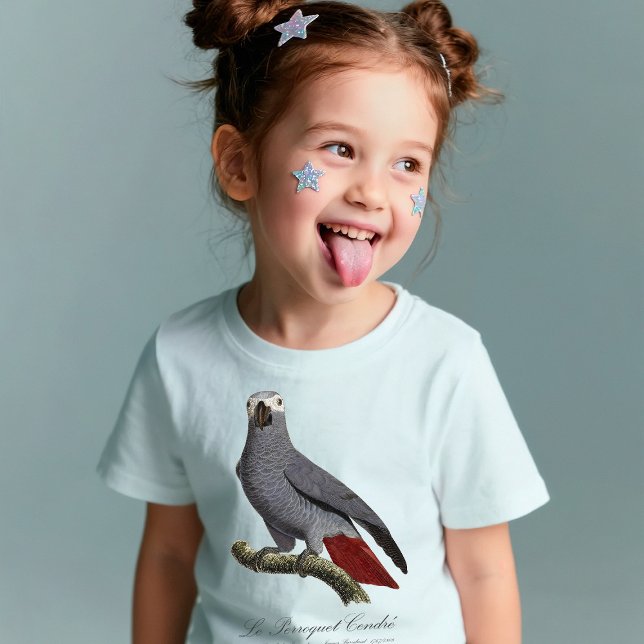 Camiseta Papagaio cinzento africano, Psittacus erithacus, v (Le Perroquet Cendre - 19th century illustration. T-Shirt basic girl)