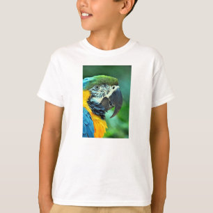 Camiseta Papagaio colorido do macaw