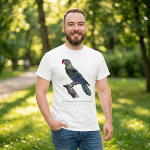 Camiseta Papagaio-de-bico-largo, Tanygnathus Megalorynchos