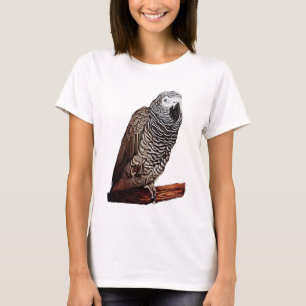 Camiseta Papagaio do cinza africano