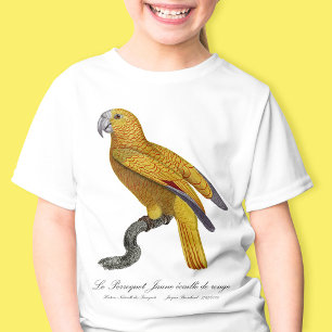 Camiseta Papagaio do Paraíso de Cuba, Psittacus Paradisi