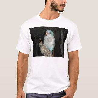 Camiseta papagaio do quacre