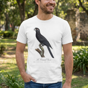 Camiseta Papagaio-do-vasa-maior, Coracopsis Vasa Ilustração
