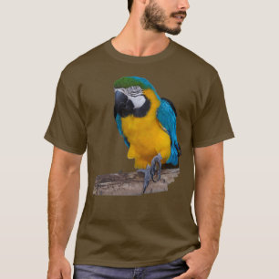 Camiseta Papagaio Dourado Azul
