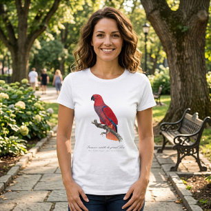 Camiseta Papagaio Eclectus de Vosmaer, Eclectus Roratus Vos