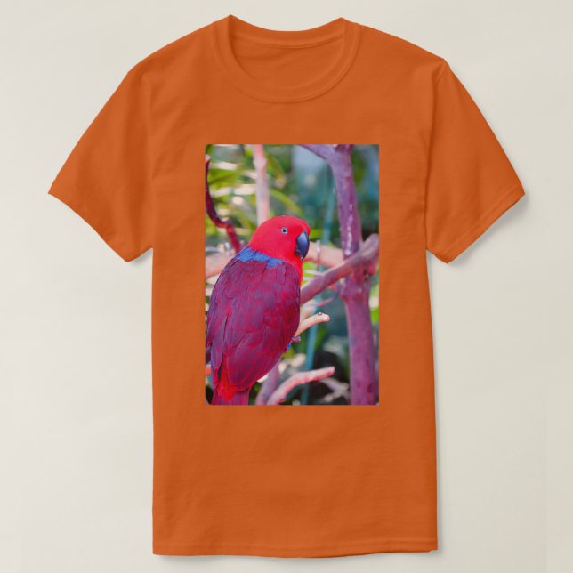 Camiseta Papagaio eclético colorido (Frente do Design)