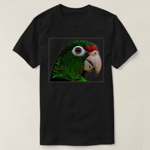 Camiseta Papagaio/La Cotorra