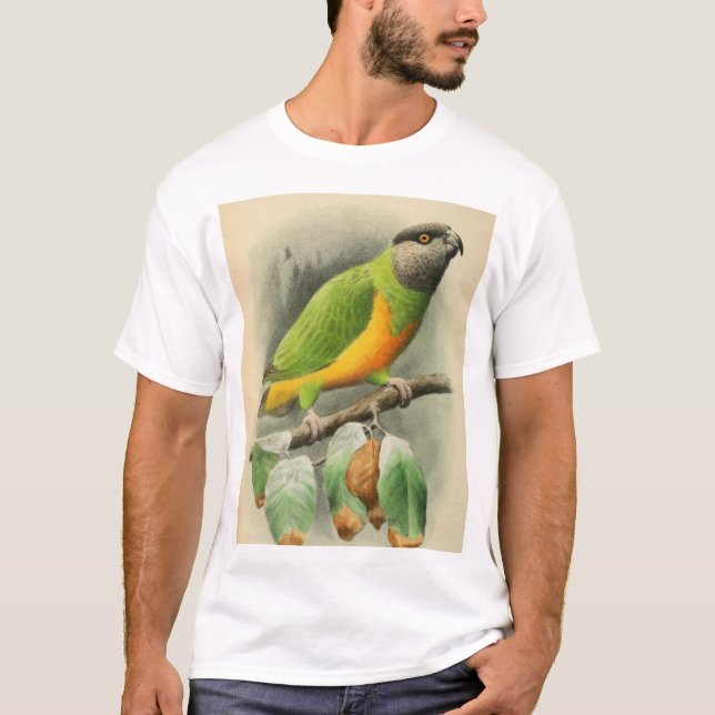 Camiseta Papagaio Senegal, homem adulto (Frente)
