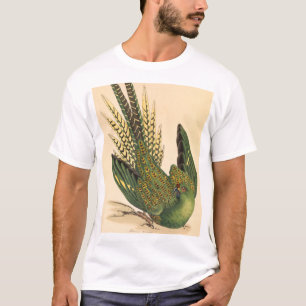 Camiseta Papagaio-terrestre de James Sowerby, Psittacus ter