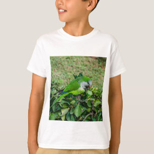 Camiseta Papagaio verde