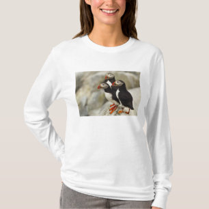 Camiseta Papagaios-do-Atlântico na Ilha Machias Seal