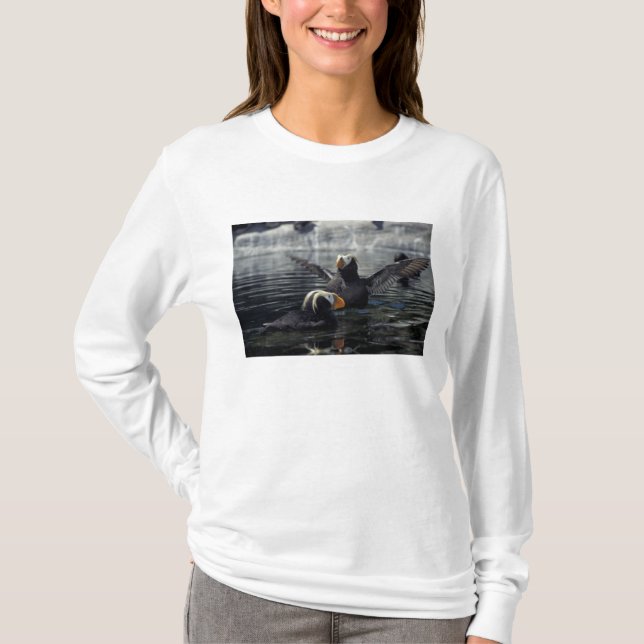 Camiseta Papagaios-do-mar-de-crista-do-Alasca (Frente)