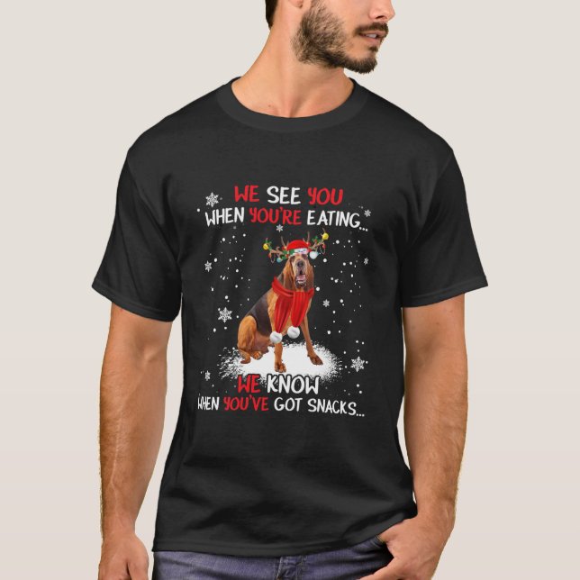 Camiseta Papais noeis Bloodhound Reindeer Light Christmas P (Frente)