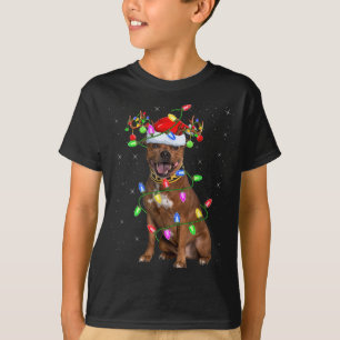 Camiseta Papais noeis de iluminação do Xmas Staffordshire B