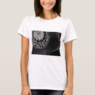Camiseta Papoila de BW