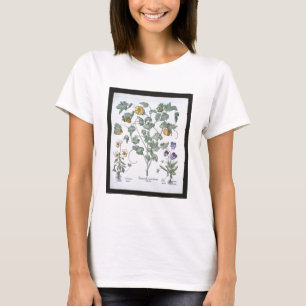 Camiseta Papoila Horned amarela, 'do Hortus Eystettensis