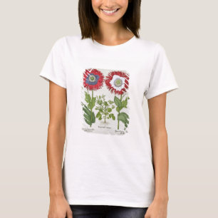 Camiseta Papoilas decorativas, 'do Hortus o Eystettensis