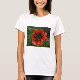 Camiseta papoula oriental