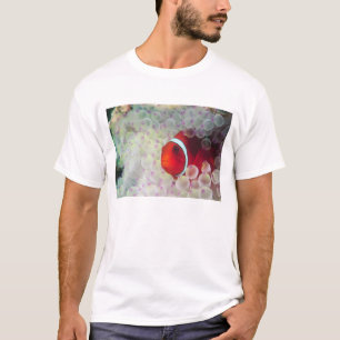Camiseta Papua-Nova Guiné, Grande Barreira de Coral,