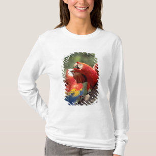 Camiseta Par de Araras-vermelhas