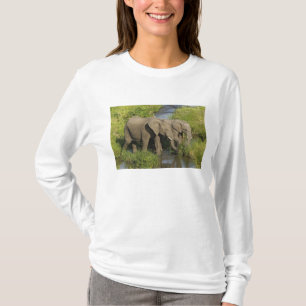 Camiseta Par de Elefantes Africanos Masai Mara