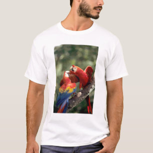 Camiseta Par de Macaws Escarlate