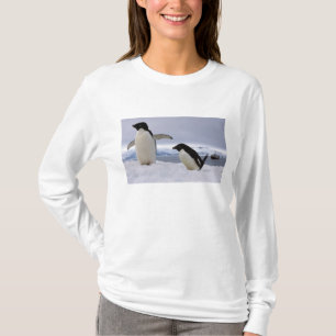 Camiseta Par de pinguins Adelie Antártica