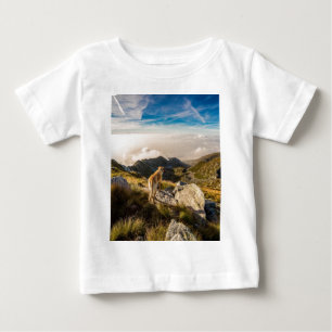 Camiseta Para Bebê A viagem