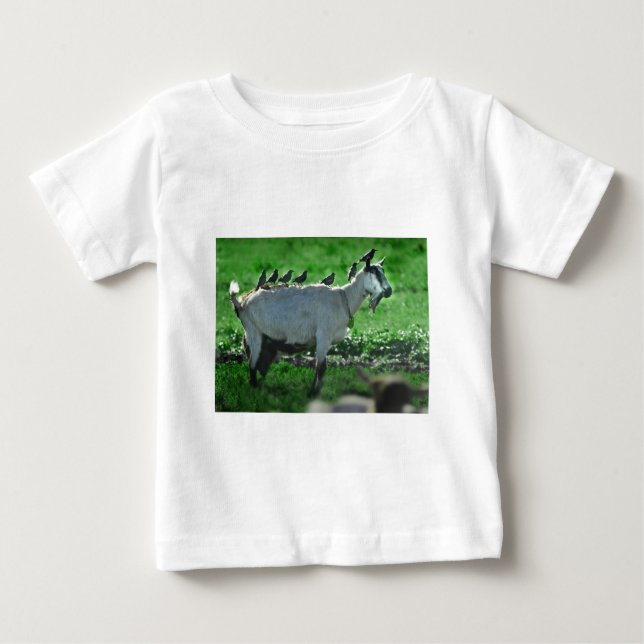 Camiseta Para Bebê Amigos (Frente)