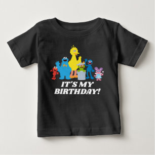 Camiseta Para Bebê Amigos da Rua Sésamo É Meu Aniversário