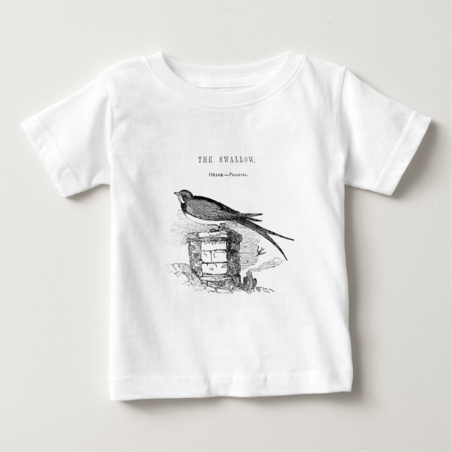 Camiseta Para Bebê Andorinha vintage pássaro (Frente)