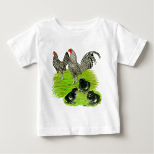 Camiseta Para Bebê Antiga família Barred Bantam Inglesa