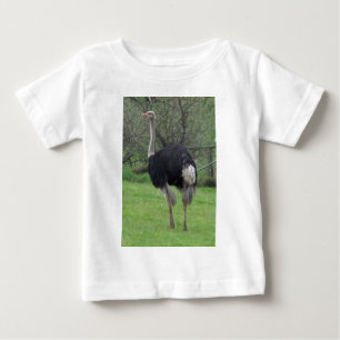 Camiseta Para Bebê Avestruz