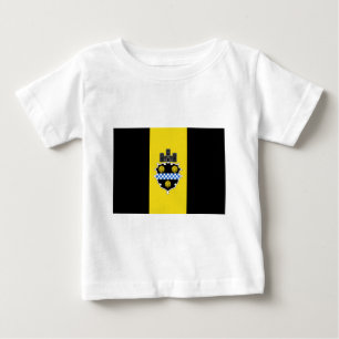Camiseta Para Bebê Bandeira de Pittsburgh, Pensilvânia, os Estados