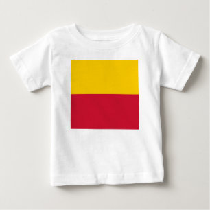 Camiseta Para Bebê Bandeira de Schagen