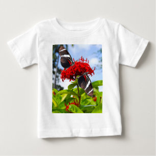 Camiseta Para Bebê Borboletas de zebra longevas em flores vermelhas