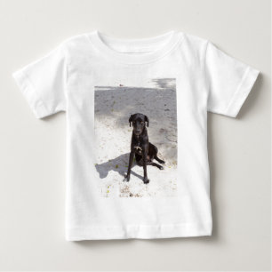Camiseta Para Bebê Cachorro negro com mau