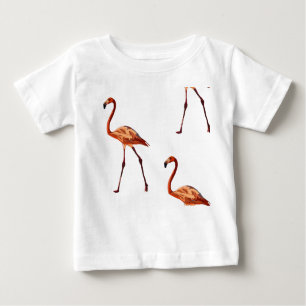 Camiseta Para Bebê Camisa-T Rosa Flamingos Baby Fine Jersey