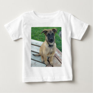 Camiseta Para Bebê Cão belga de Malinois do pastor