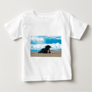 Camiseta Para Bebê Cão da Montanha Bernese na Praia