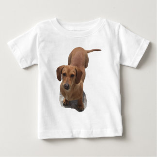 Camiseta Para Bebê Cão-de-cajado-marrom-bonito