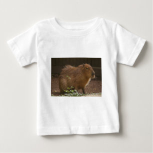 Camiseta Para Bebê Capivara